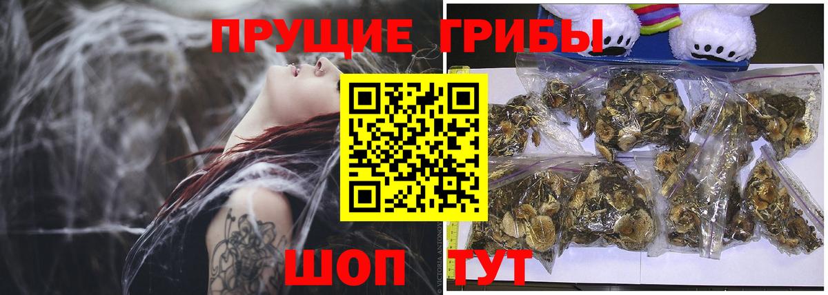 Удомля  Псилоцибиновые грибы ЛСД  Вход с VPN 