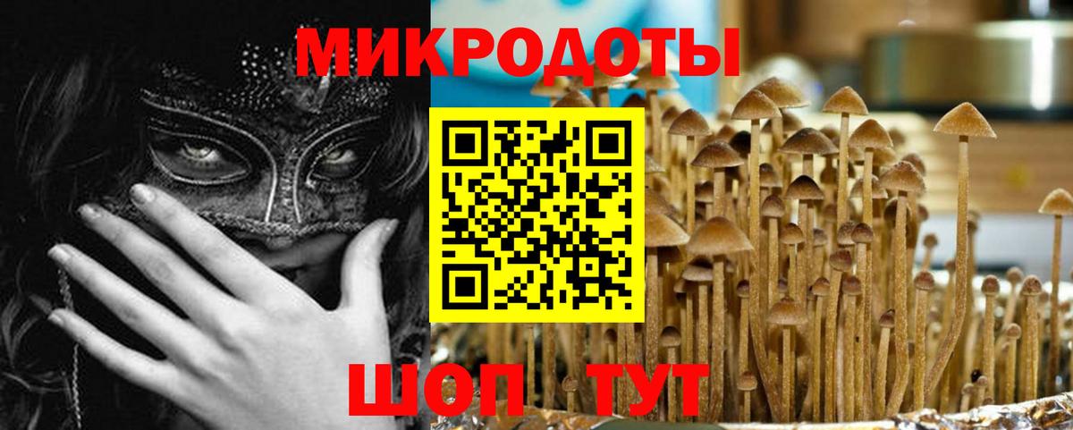Псилоцибиновые грибы GOLDEN TEACHER Удомля